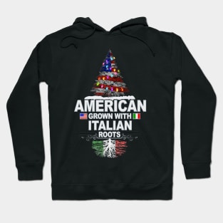 Christmas Tree  American Grown With Italian Roots - Gift for Italian From Italy Hoodie